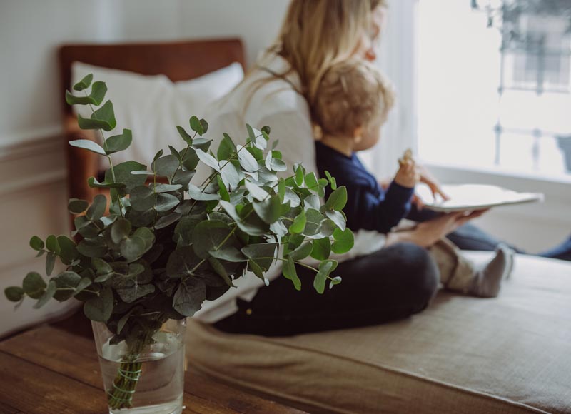 How to create a healthy home environment when your family is growing - Les  LouvesLes Louves